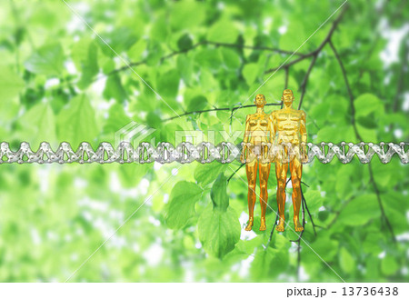 人類の遺伝子配列のイメージ 13736438