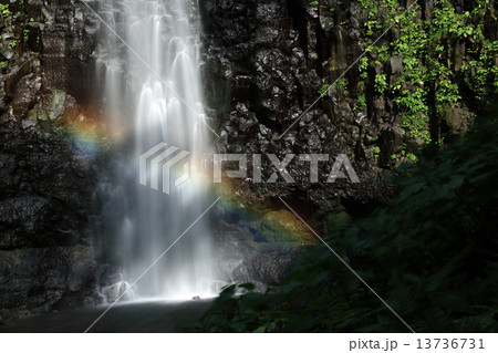 玉簾の滝 玉簾の滝 13736731
