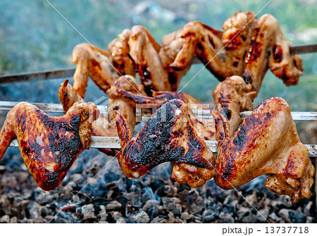 chicken wing 13737718