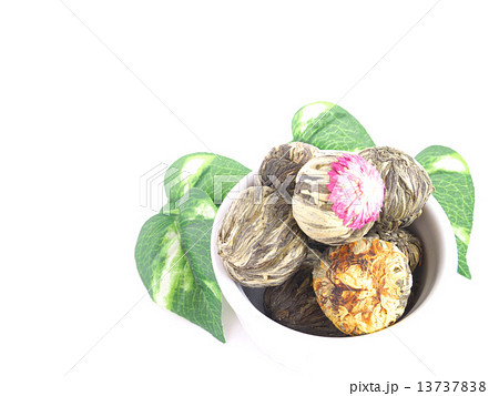 茉莉花茶 茉莉花茶 13737838