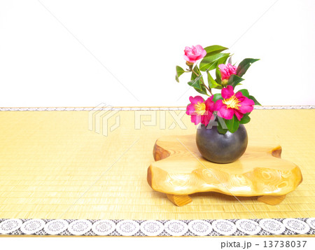 床の間の生け花 13738037
