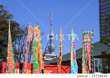 力士のぼりとスカイツリー 13738839