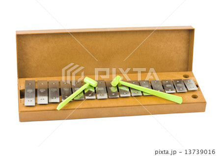 Xylophone 13739016