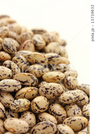 うずら豆 13739632