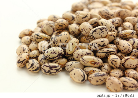 うずら豆 13739633