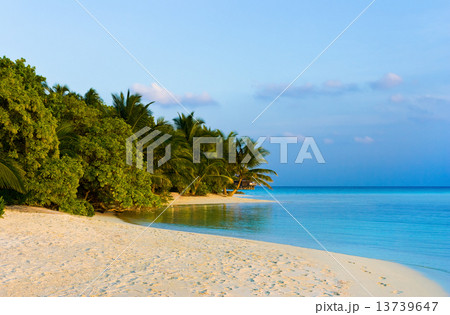 Tropical beach at evening 13739647