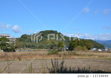 岡豊城全景 13739699