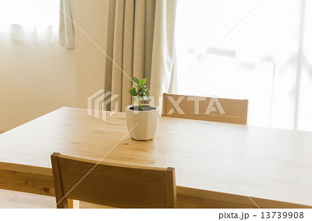 テーブルの上にある観葉植物 13739908