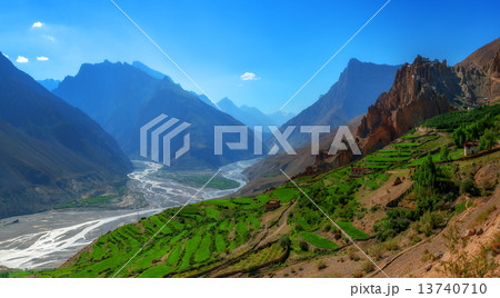 dhankar 13740710