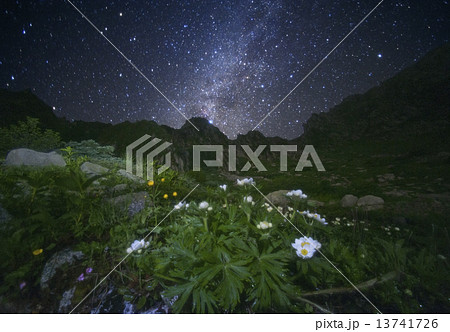 千畳敷カール 13741726