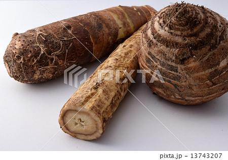海老芋、堀川ゴボウ、頭芋 13743207