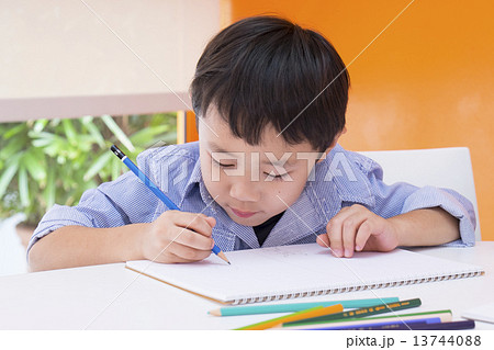 Education Education 13744088