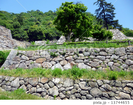 鳥取城跡 13744655