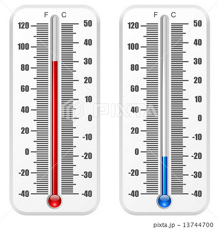 Standard Thermometer Vector Template Isolated のイラスト素材
