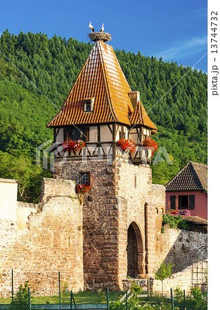 Chatenois, Alsace, France 13744732