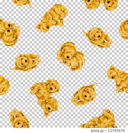  一隻可愛的狗的手柄 13745676