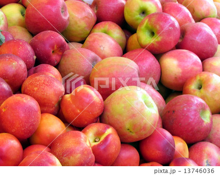 Tel Aviv hybrid of peach and apricot on bazaar 2012 Tel Aviv hybrid of peach and apricot on bazaar 2012 13746036