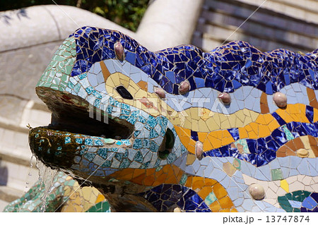 グエル公園のとかげ 13747874