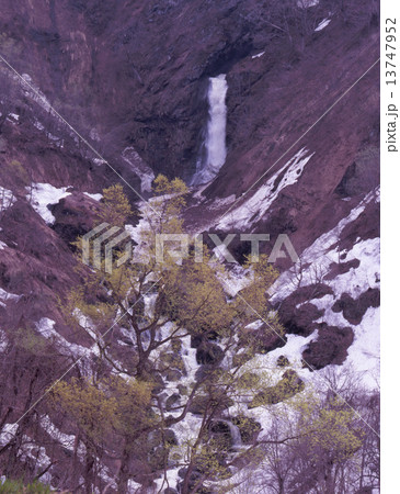 雪解けの尾丸滝 13747952