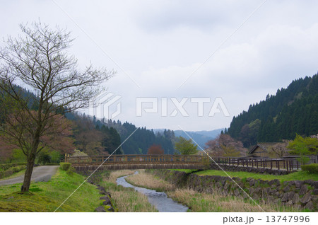 一乗谷 一乗谷 13747996