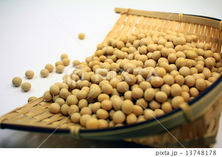 節分大豆 13748178