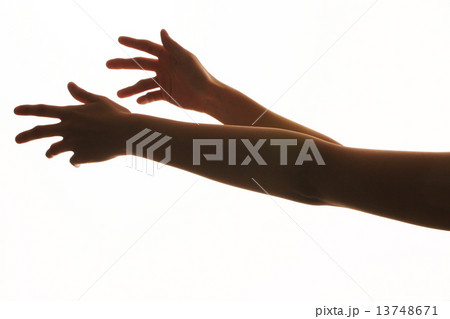 手のシルエット 13748671