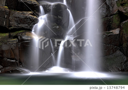 桑の木滝 13748794