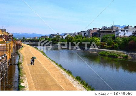 京都鴨川 13749066