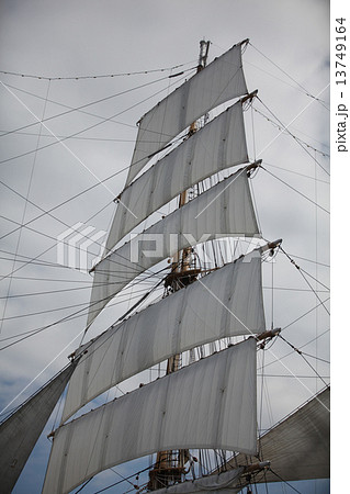 広島港 帆船フェスティバル 日本丸 セイルドリル 広島港 帆船フェスティバル 日本丸 セイルドリル 13749164