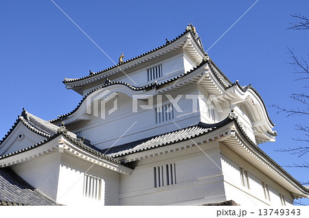 千葉県大多喜城 13749343