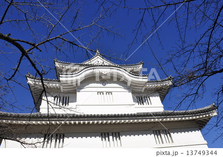 千葉県大多喜城 13749344