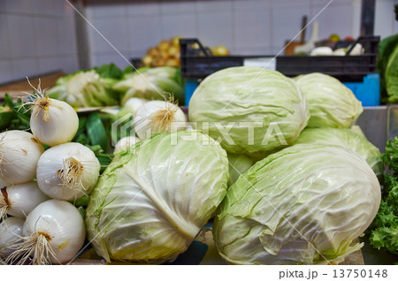 White and redhead cabbage, onions 13750148