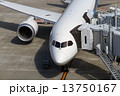 B787 13750167