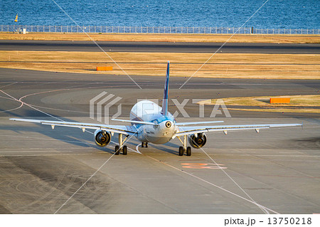 B787 B787 13750218