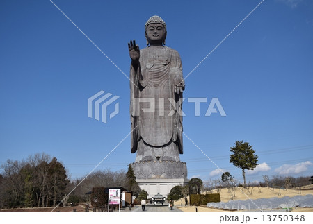 茨城県 世界一の青銅製立像 牛久大仏(うしくだいぶつ) 茨城県 世界一の青銅製立像 牛久大仏(うしくだいぶつ) 13750348