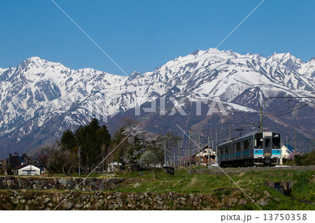 春の北アルプスをバックに走る大糸線のローカル列車 13750358