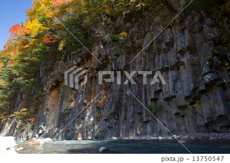 松川渓谷の玄武岩 13750547