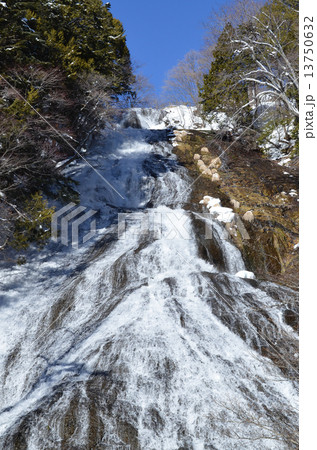 冬の湯滝 冬の湯滝 13750632