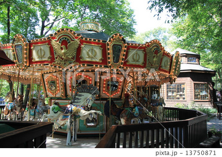 森のメリーゴーランド 13750871