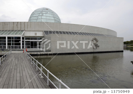 葛西臨海水族園 13750949