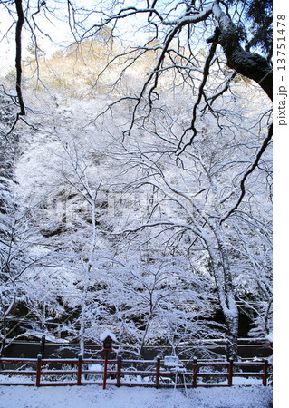 雪の参道 13751478