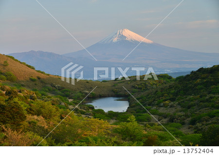 箱根玄岳の氷ヶ池と富士山 箱根玄岳の氷ヶ池と富士山 13752404