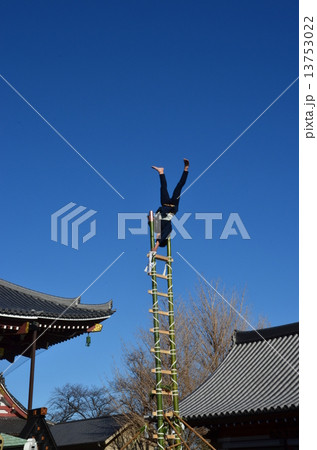 はしご乗り 13753022
