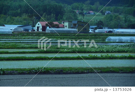 北海道の農園 13753026