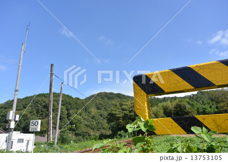 夏の線路脇 夏の線路脇 13753105