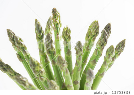 アスパラ 13753333