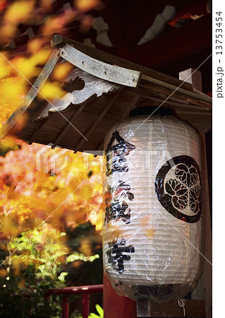 金蔵寺の紅葉 13753454