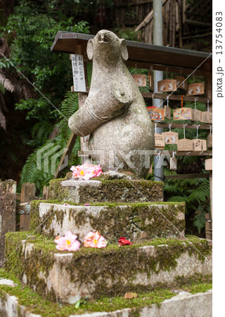 大豊神社末社 大国社 阿の狛鼠 大豊神社末社 大国社 阿の狛鼠 13754083