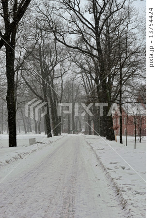 Landscape with  the Admiralty pavillion in Pushkin garden. 13754424