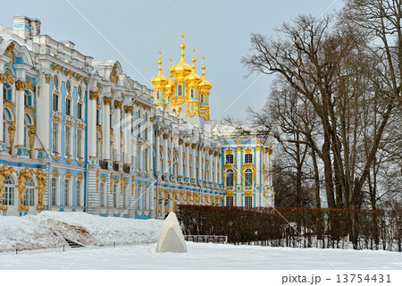 Winter alley and Catherine palace  in the Pushkin. 13754431